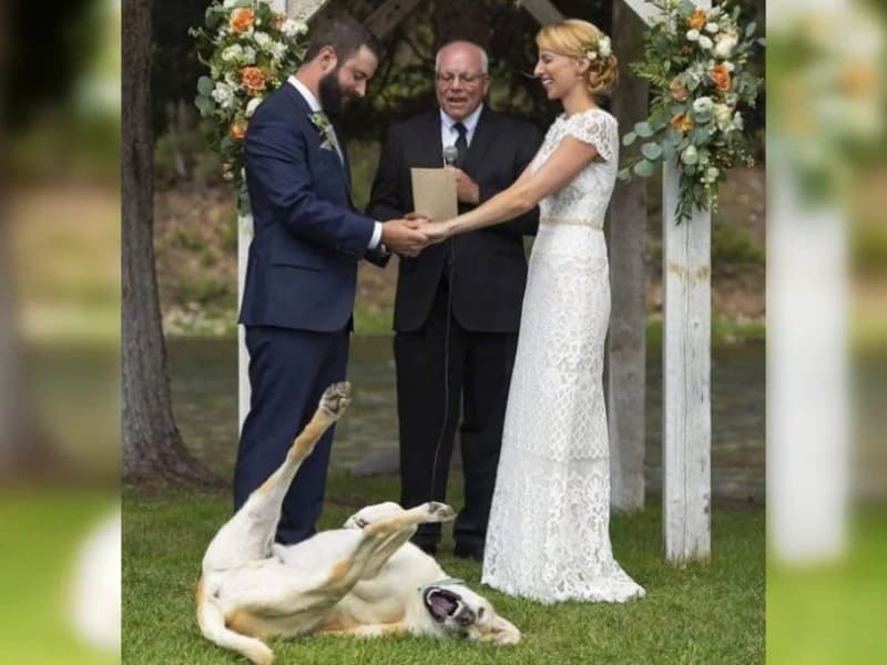 15 Hilarious Photos That Will Have You Crying with Laughter