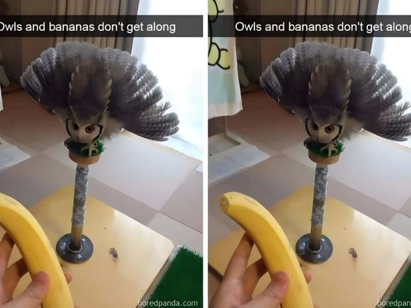 15 Hilarious Photos That Will Have You Crying with Laughter