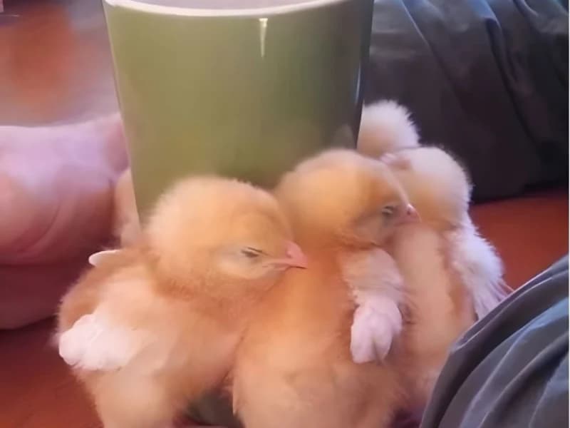15 Hilarious Photos That Will Have You Crying with Laughter