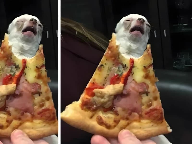 15 Hilarious Photos That Will Have You Crying with Laughter
