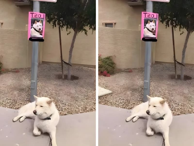 15 Hilarious Photos That Will Have You Crying with Laughter