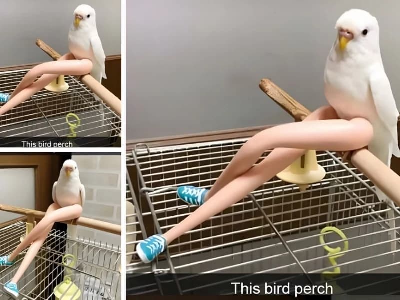 15 Hilarious Photos That Will Have You Crying with Laughter