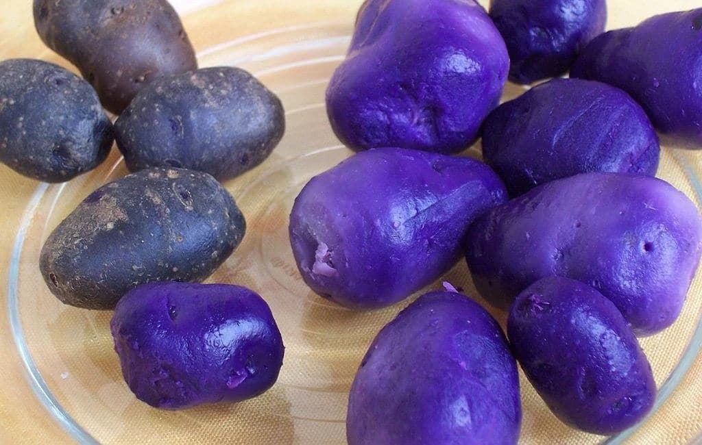 15 Natural Ways to Prevent Cancer