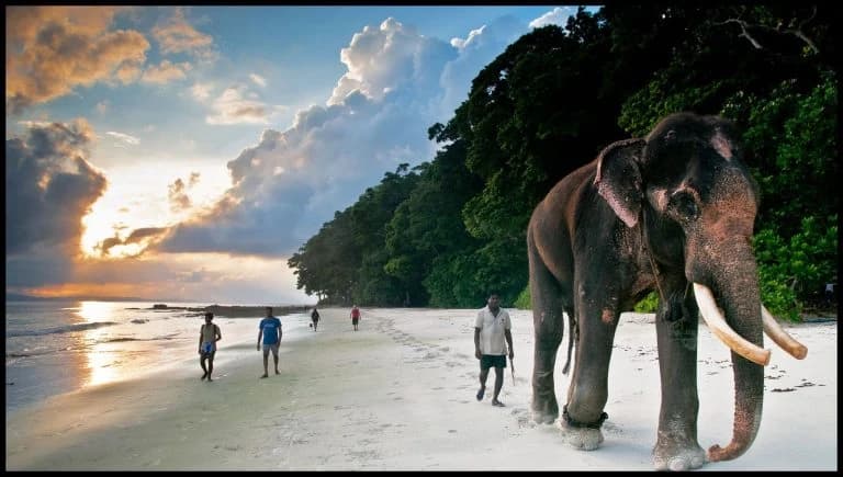 23 of the Most Beautiful Beaches in the World