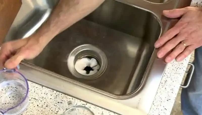 Stinkende Abflusshachsler