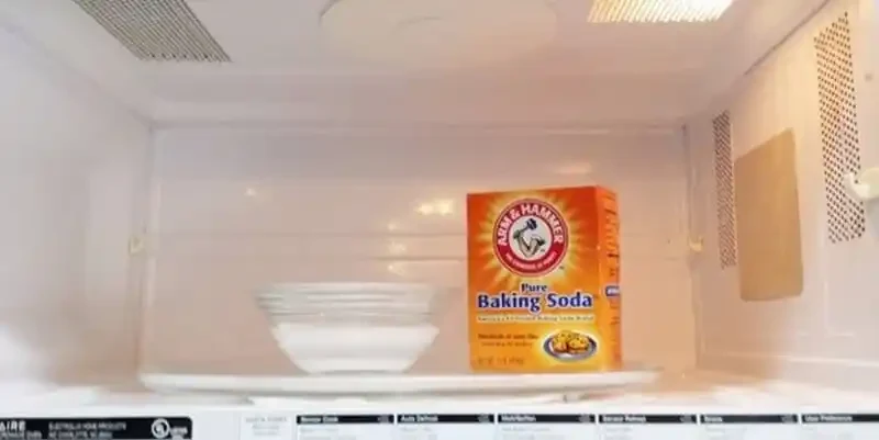 Mikrowellen Reiniger