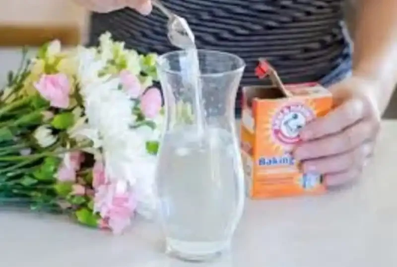 Bluhende Blumen
