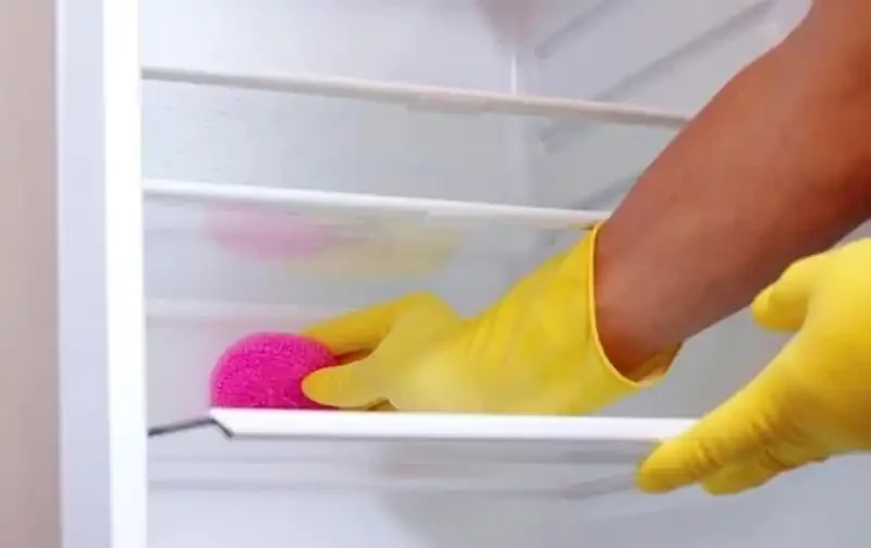 Saubert Den Kuhlschrank