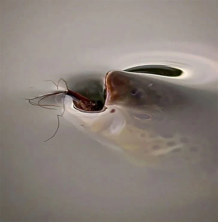30 photos that really make you think