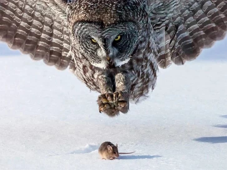 30 photos that really make you think