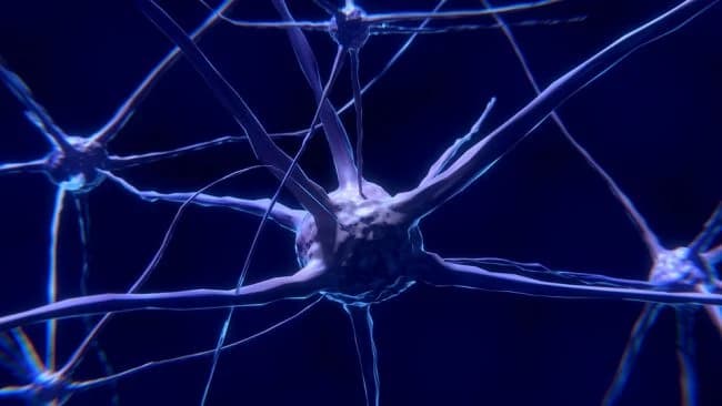 32 Signs Your Body Is Running out of Magnesium