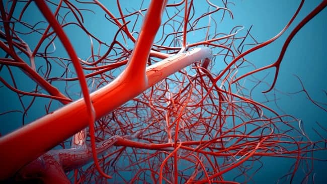 32 Signs Your Body Is Running out of Magnesium