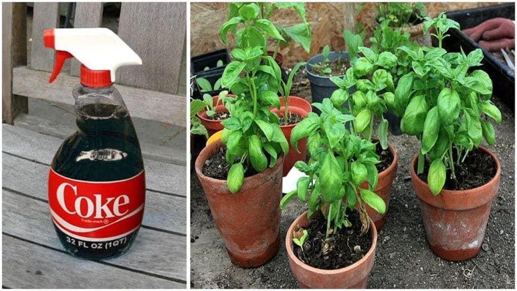 40 Reasons Why Coke Is Not Just A Drink