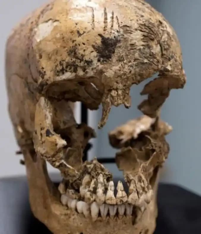 Jane Of Jamestown
