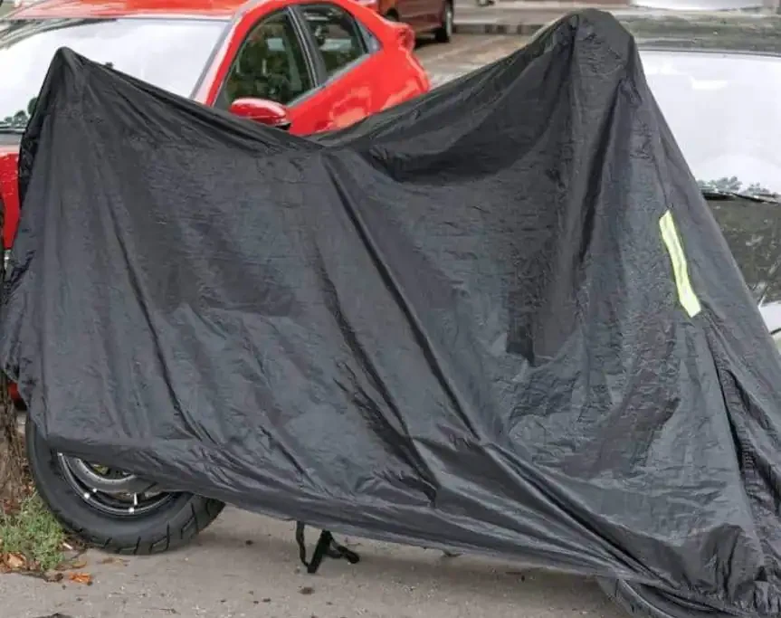 Bonnie Zieht Sich Zurück