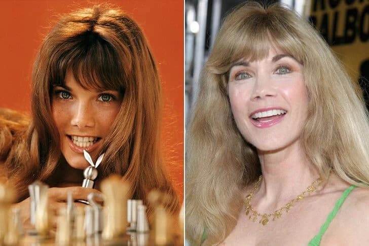 Ageless Icons: Celebrities Who Have Maintained Their Stunning Looks Over the Years