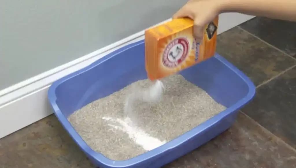 Baking Soda
