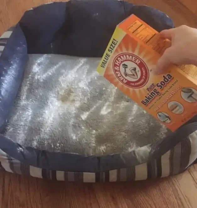 Baking Soda