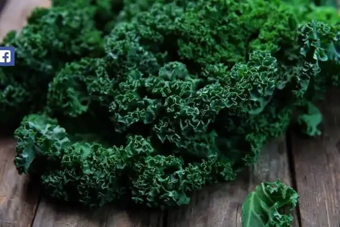 Kale