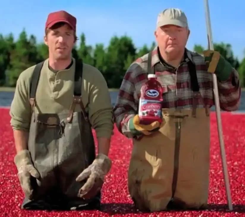 Cranberries