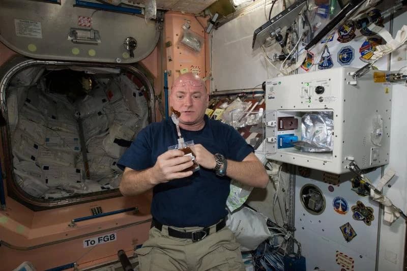 In Focus: Scott Kelly's Year In Space