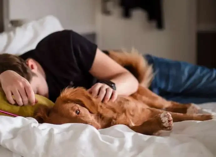 Why Dogs Are Constantly Sniffing You