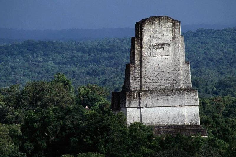 Temple of the Priest, Tikal
