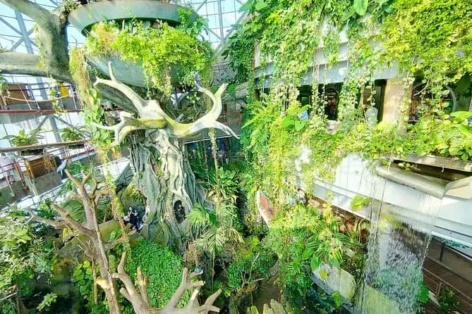 The Green Planet