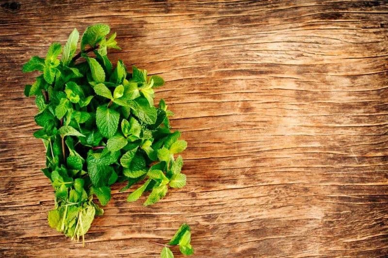 Fresh mint leafs on wooden background